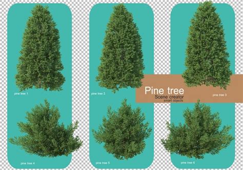 Premium Psd Various Forms Of Pine Trees Rendering