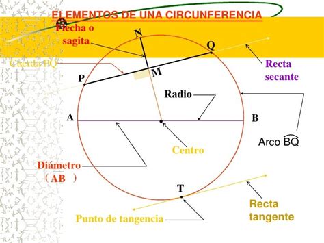 Circunferencia Y Sus Elementos