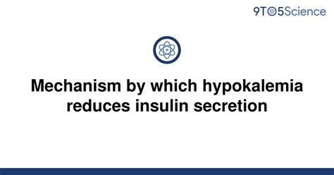 Solved Mechanism By Which Hypokalemia Reduces Insulin 9to5science