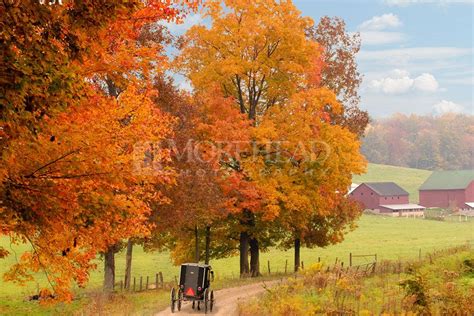 Autumn‘s Peak Holmes County Ohio Is Home To The Largest Amish