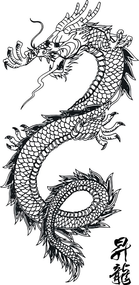 Top 25 dragon coloring pages for preschoolers: dragons coloring.filminspector.com