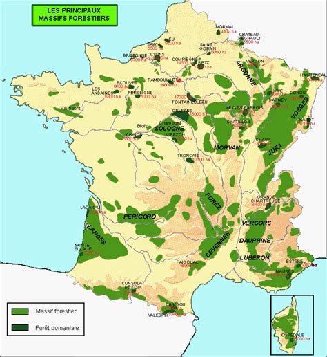 Les Principaux Massifs Forestiers Géographie France Foret France