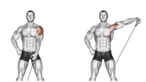 6 Best Side Deltoid Exercises To Make Your Shoulders Look Bigger