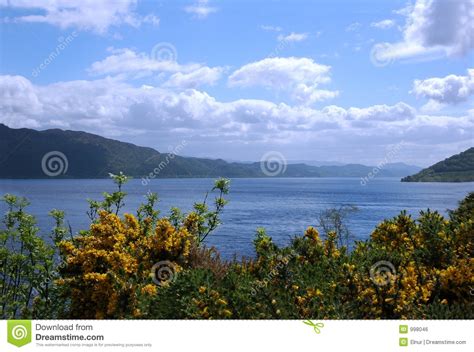 You can get right onto the pebble beach by the loch and it's super quiet in comparison. See Loch Ness stockfoto. Bild von königreich, wolke ...
