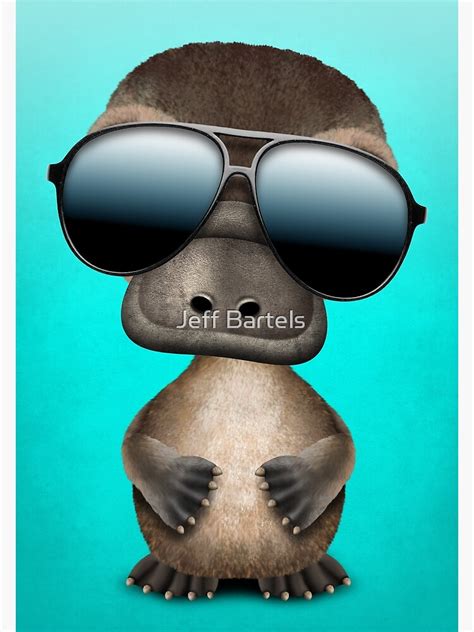 Cool Baby Platypus Wearing Sunglasses Photographic Print For Sale By