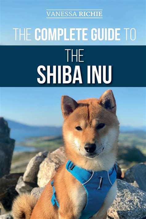 The Complete Guide To The Shiba Inu Selecting Preparing For Training