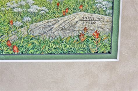 Original Fine Art Print By Bev Doolittle Limited Edition 3391743500