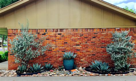 Blue Ceramic Planter With Century Plant Purple Sage Xeriscape