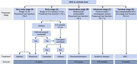 Hepatocellular Carcinoma Beyond Barcelona Clinic Liver Cancer Resection