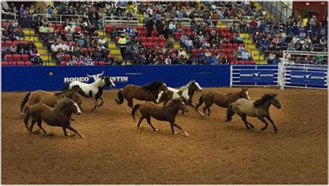 We'll never run popups or any disruptive ads. Watch NFR 2020: National Finals RodeoLive Stream Online ...