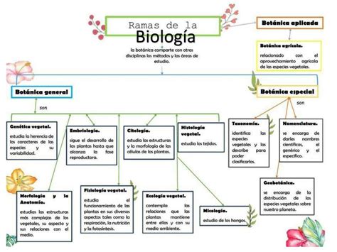 Mapa Conceptual De Las Ramas De La Biología 5 Udocz