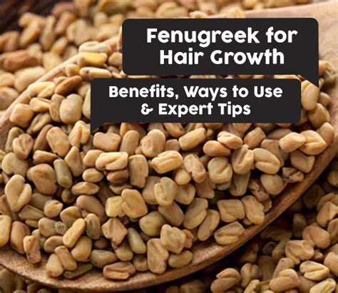 Fenugreek Water For Hair Solve Your Problem Quick And Easy With Online