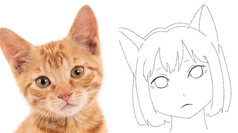 Aggregate More Than 71 Cat Anime Characters Best Induhocakina