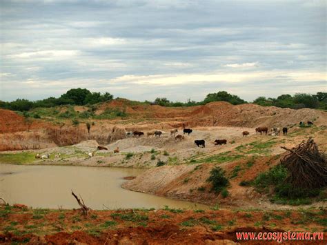 Angola And Northern Namibia Natural Landscapes And Nature Objects