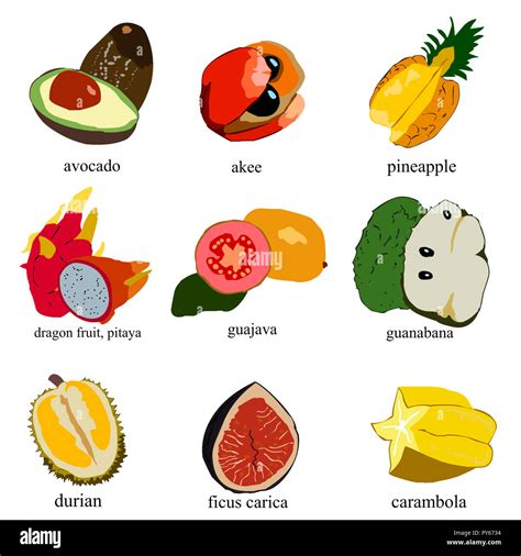 Algunos tipos de frutas exóticas de diferentes países Fotografía de