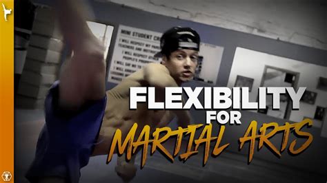 Flexibility For Martial Arts Youtube