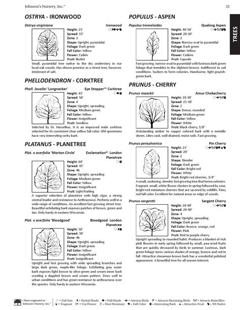 Plant Reference Guide By Johnsons Nursery Inc Issuu