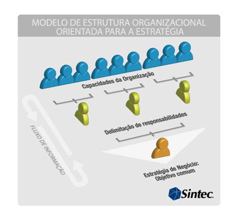 modelo de estrutura organizacional consultoria sintec hot sex picture