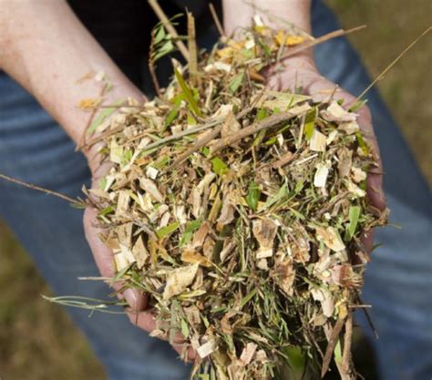 South coast outdoor products has been selling and servicing hansa chippers for many years and feel confident that anyone purchasing a hansa will be very satisfied. Hansa Chippers - Vin Rowe Farm Machinery