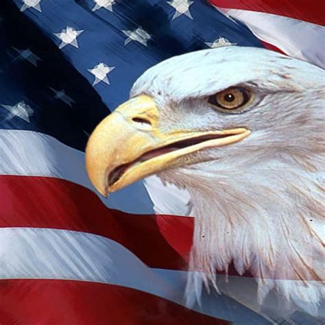 10 Latest Usa Flag Eagle Wallpaper Full Hd 1920×1080 For Pc Background 2021