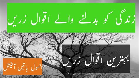 The Best Urdu Quotes To Inspire You During Aqwal E Zareen