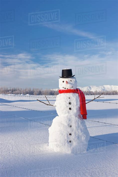 Snowman Wearing A Red Scarf And Black Top Hat Standing In Fresh Snow On