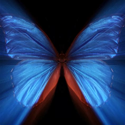 The Butterfly Effect Is Why Its Impossible To Predict The