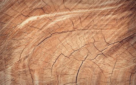 We have an extensive collection of amazing background images carefully chosen by our community. Download wallpapers brown wooden texture, 4k, cracked ...