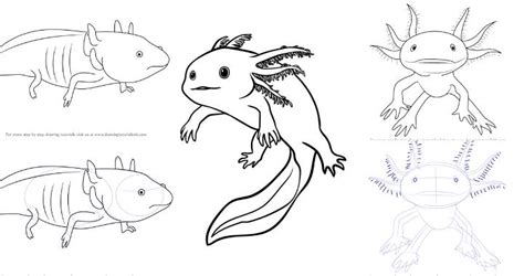 How To Draw A Minecraft Axolotl Roberts Thenly