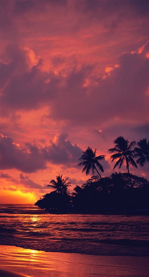 Hd Wallpaper Coconut Trees Nature Landscape Water Clouds Beach