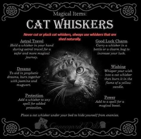 Pin By Pandy Francis On Witchy Stuff In Cat Whiskers Magic Magic Spell Book Witch Magic