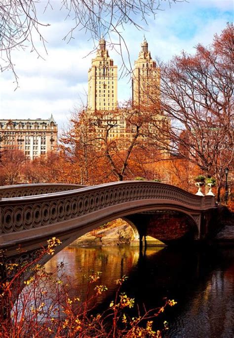 Bow Bridge Fall In Central Park By Midnightinparis New York City