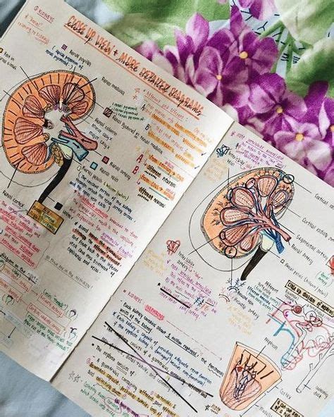 10 Aesthetic Notes Ideas In 2021 School Study Tips Medical School