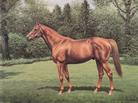 Affirmed By Richard Stone Reeves Horse Painting Horses Equine Artwork