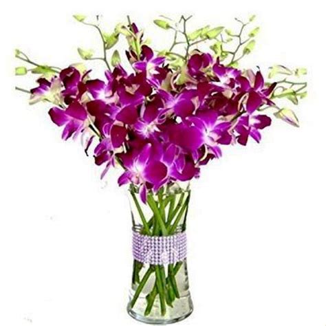 The Floralmart® Valentine S Day Special Premium Glass Vase Arrangement Of 12 Orchids Fresh