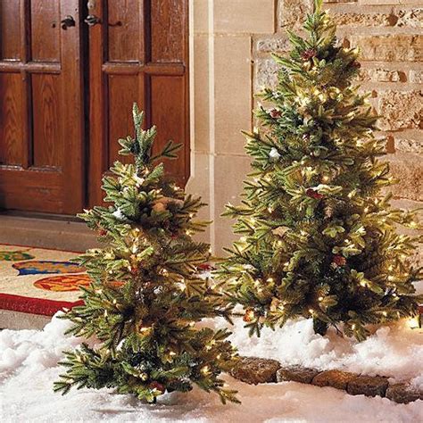 Set Of Two 3 Hyde Park Pathway Outdoor Christmas Trees Frontgate