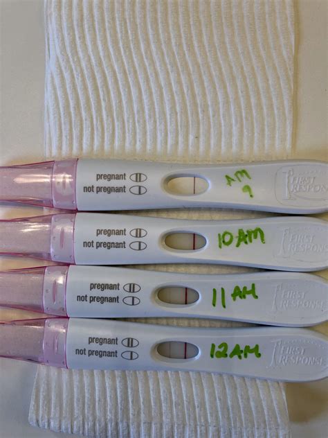 FRER progression. 9 DPO through 12DPO. All FMU. : TFABLinePorn