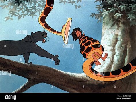 Bagheera Kaa Mowgli Le Livre De La Jungle 1967 Photo Stock Alamy