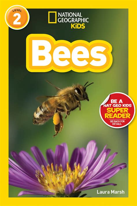 National Geographic Readers Bees Printables Classroom Activities