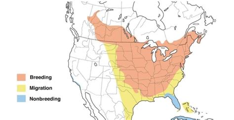 Orioles In Kansas 3 Species W Range Maps Bird Watching Hq