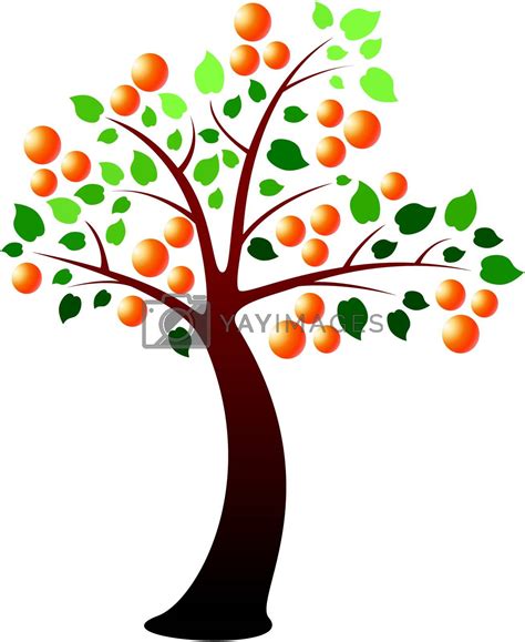 Vector Orange Tree By Freesoulproduction Vectors And Illustrations With