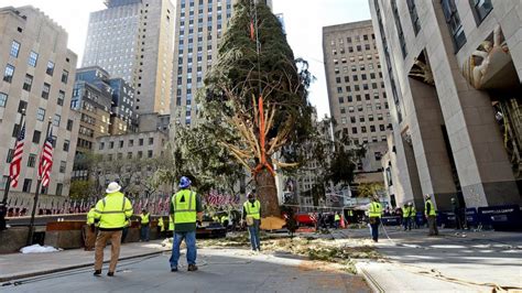 Representatives from the state of new york. 77-foot tree installed at New York City's Rockefeller ...