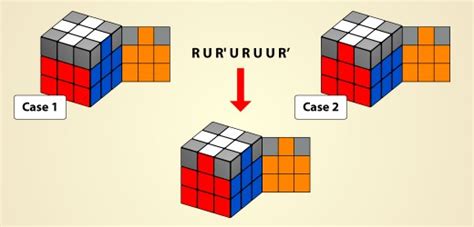 In the rubik's square, there are two types of moves. A List of Every Rubik's Cube Algorithm You Will Ever Need | HobbyLark