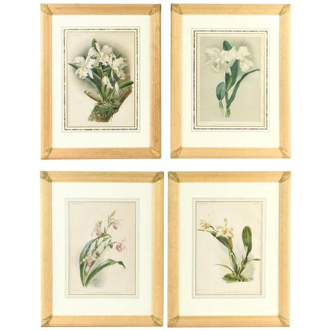 Set Of Four Large Framed Botanical Prints For Sale At 1stdibs