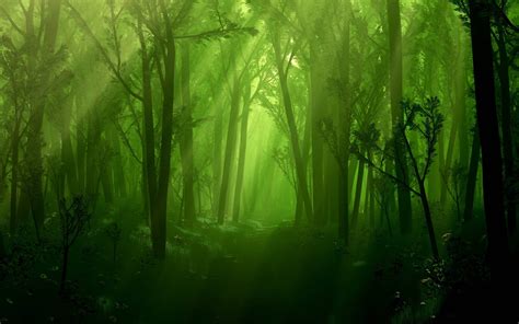 Aesthetic Forest Wallpaper Pc Forest Trees Nature Mist Wallpapers