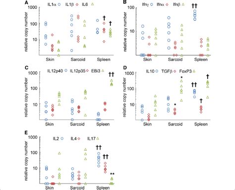 Quantitiative PCR Of Cytokine MRNA Cytokine MRNA Expression As Download Scientific Diagram