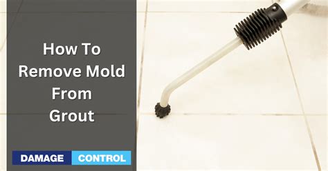 How To Remove Mold From Tile Grout