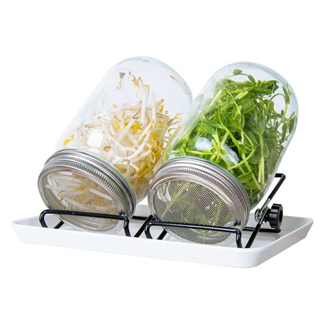 Buy Seed Sprouter Kit 2 Sprouting Mason Jar Kit With Stainless Steel
