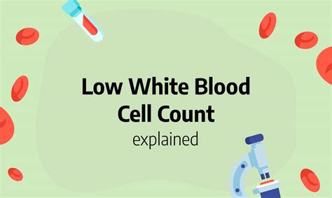 Low White Blood Cell Count Causes Symptoms Leukopenia