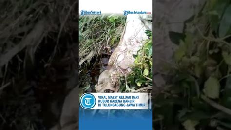 viral mayat keluar dari kubur karena banjir di tulungagung jawa timur youtube